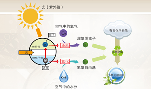 世界无醛日║拒绝甲醛，让家更安全！