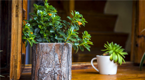 都知道装修污染很可怕，但你选对治理方法了吗？