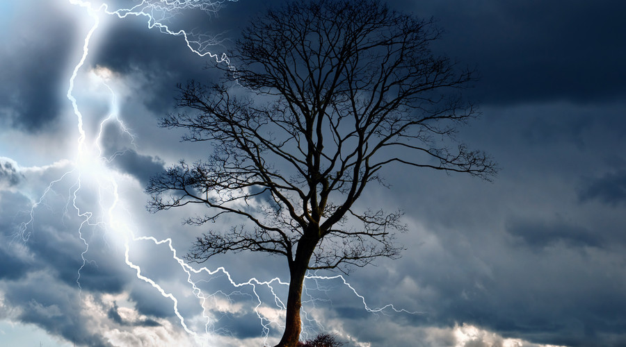 云南七儿童树下避雨遭雷击！夏季一定要学会正确避雷！