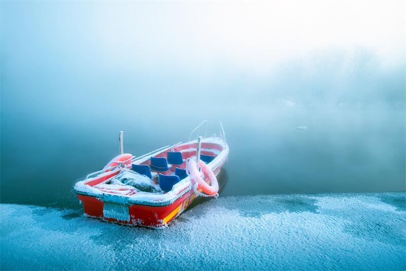 大雪节气︱时雪转甚，万物闭藏