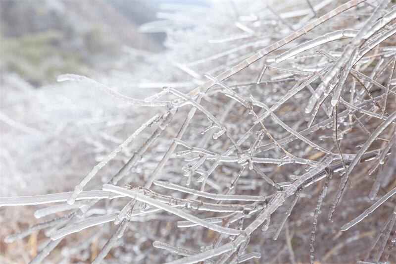 小寒节气︱严寒将至，安全居家