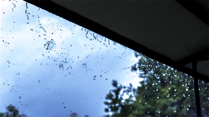 雨水节气︱和风携细雨，万物唤春归