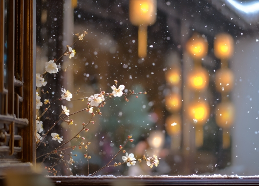 寒潮来袭！让家成为抵御寒冬的“温暖堡垒”！