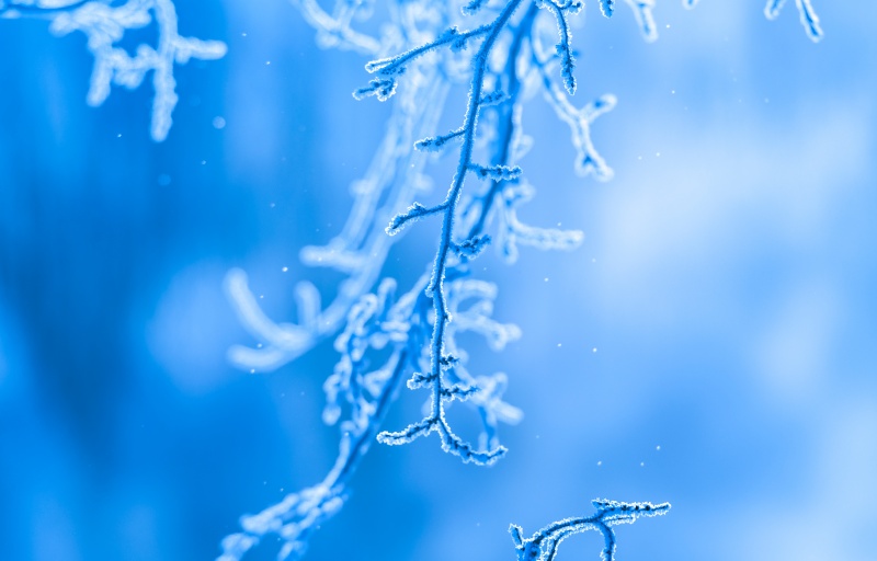 寒潮来袭!让家成为抵御寒冬的“温暖堡垒”! 寒潮来袭!让家成为抵御寒冬的“温暖堡垒”!